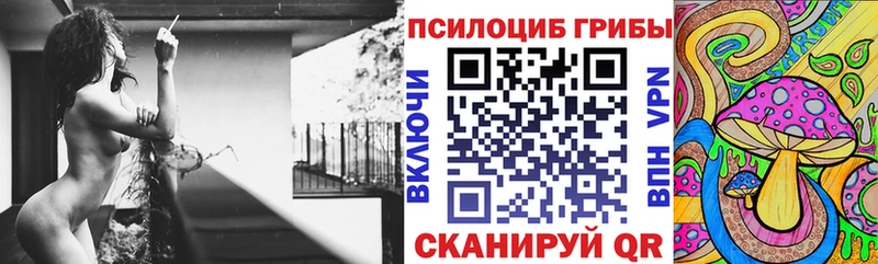 купить наркотики цена omg маркетплейс Псилоцибиновые грибы Magic Shrooms Шарыпово