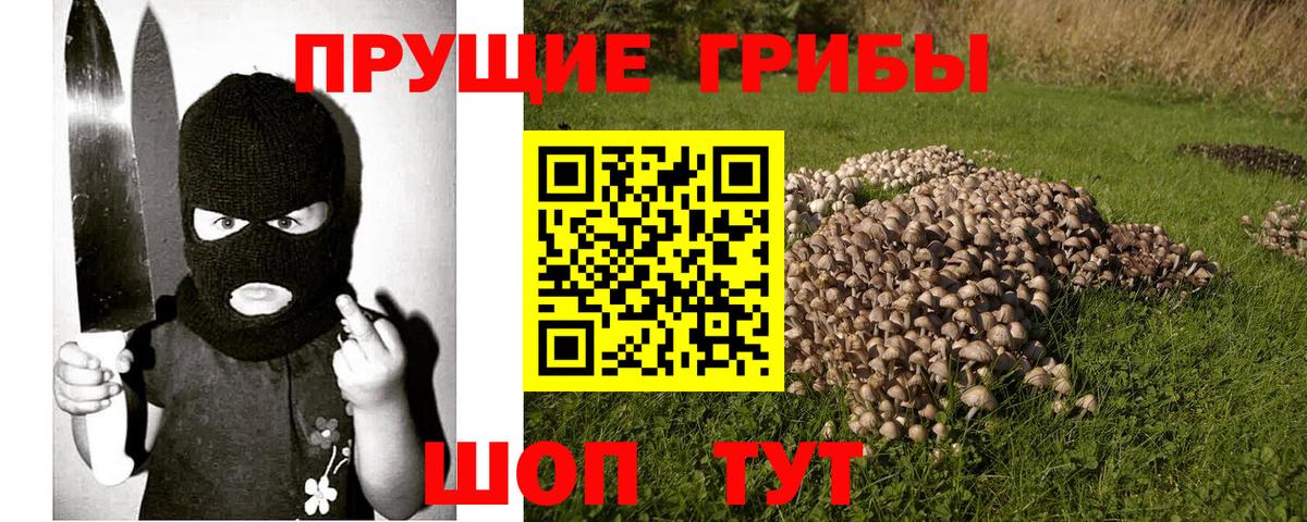Шарыпово  Галлюциногенные грибы Psilocybe  Вход с VPN 
